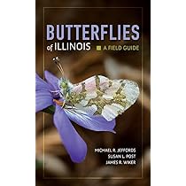 Butterfly Life USA 蝶々　キャンバスF4号 mqdefault.jpg